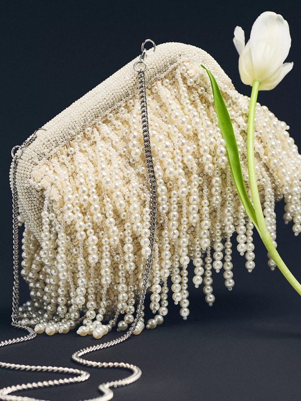 Anthropologie Weddings Remi Fringe Clutch